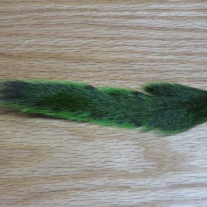 Gray Squirrel Tail Died